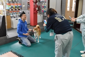 柴犬 愛護センター 訓練