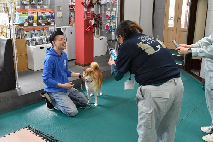 柴犬　愛護センター　訓練