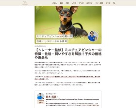 inunaviMiniature Pinscher.jpg