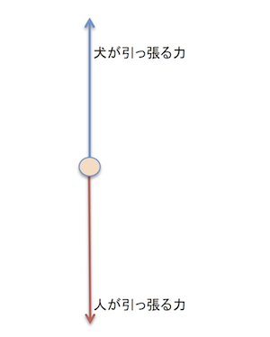 らくらくハーネスの力の分解図 1.png