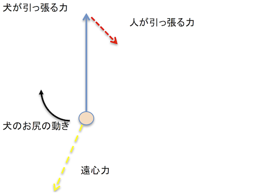 らくらくハーネスの力の分解図 5.png