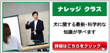 スクリーンショット 2018-04-21 17.40.41.png