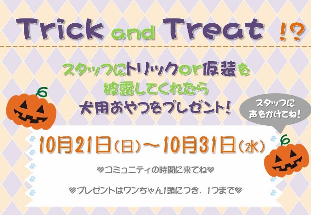 ハロウィン　犬　イベント