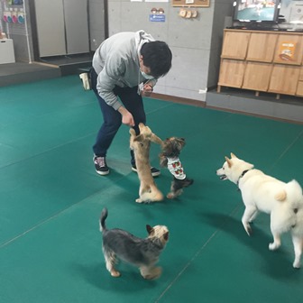 犬おじさん.jpg