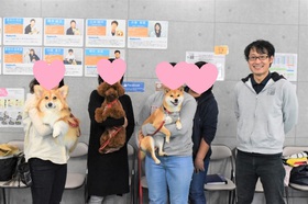 グループレッスン 犬 しつけ