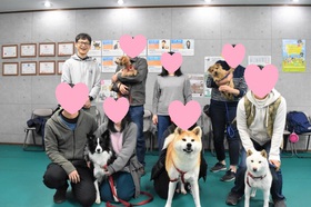 犬 レッスン しつけ