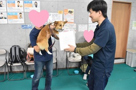 コーギー しつけ 相模原