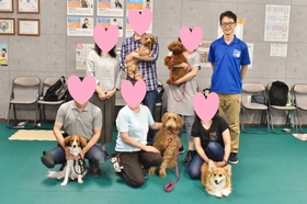 犬 しつけ方教室