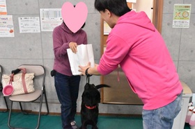 ラブラドール しつけ 相模原
