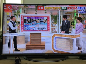 朝日テレビ　モーニングショー　犬