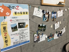 犬 夏 写真