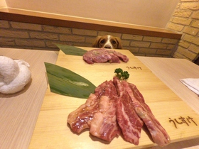 犬　焼肉