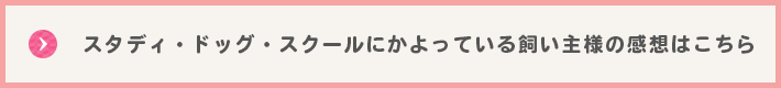 スタディ・ドッグ・スクールにかよっている飼い主様の感想はこちら