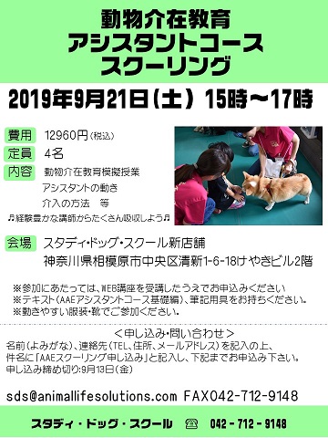 20190921チラシ.jpg