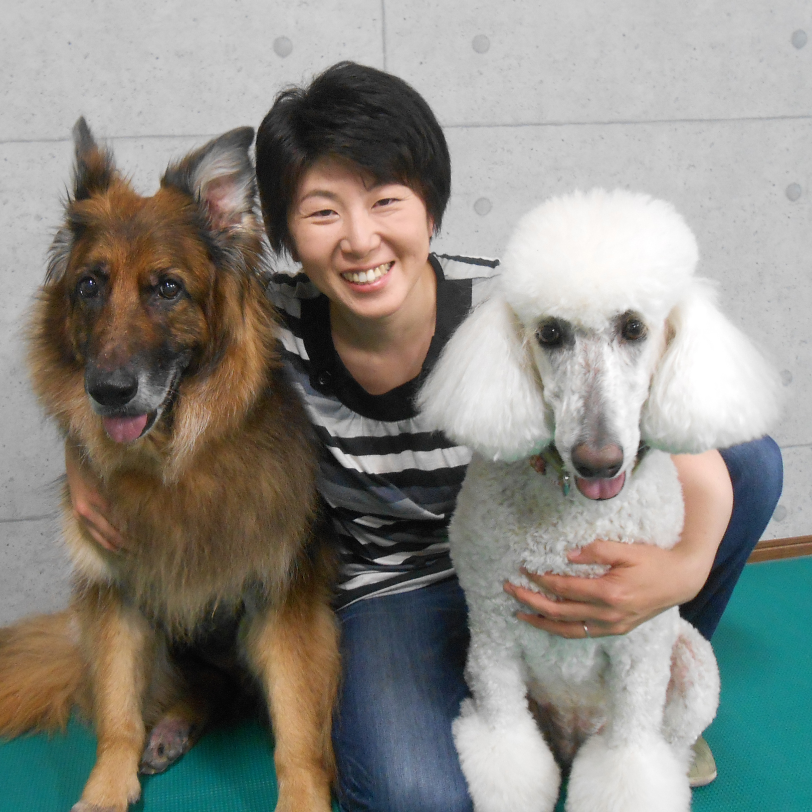 https://www.study-dog-school.com/member/upload_images/miyako.jpg