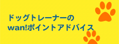 ドッグトレーナーのWan!ポイントアドバイス